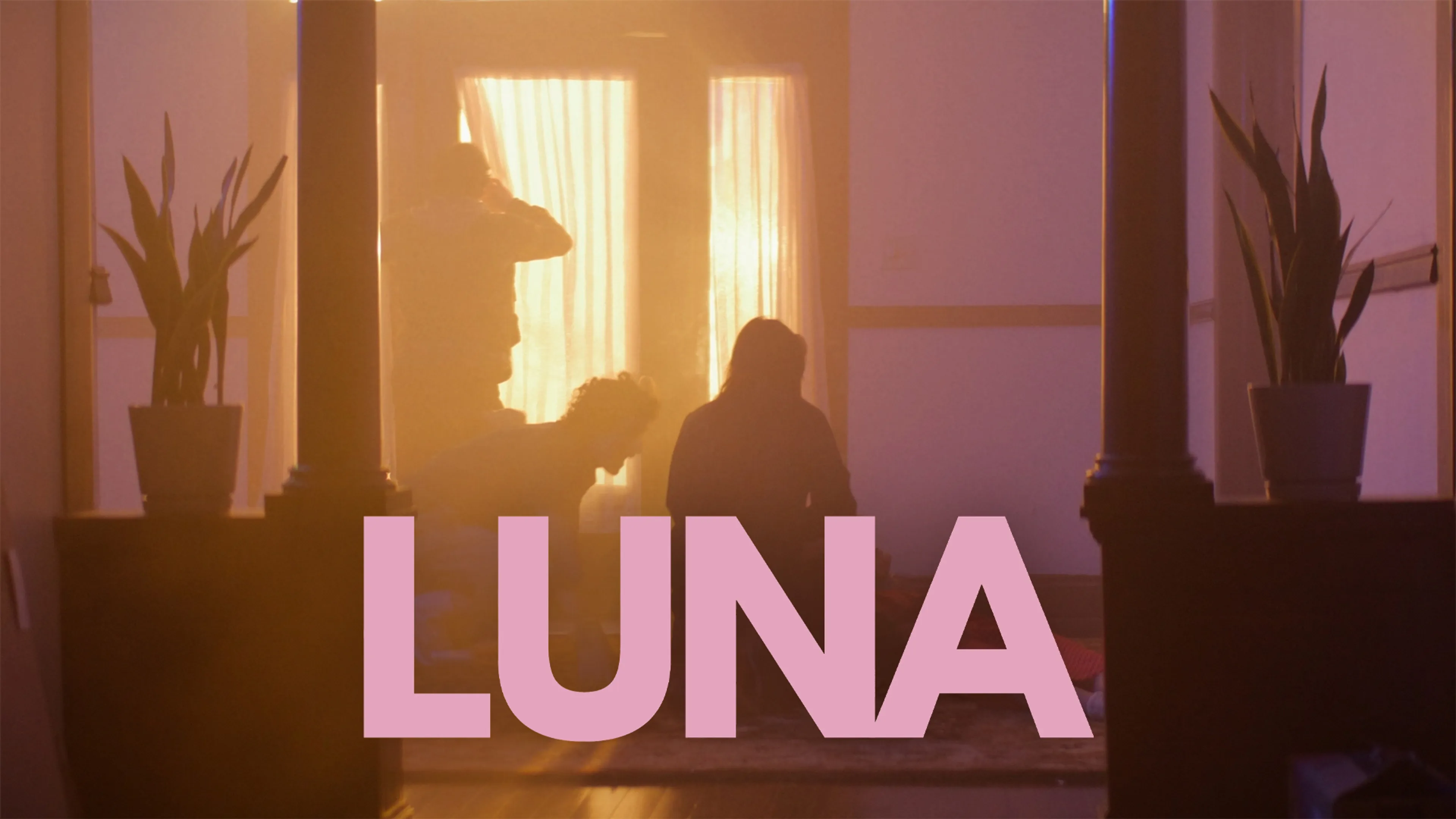 Luna poster